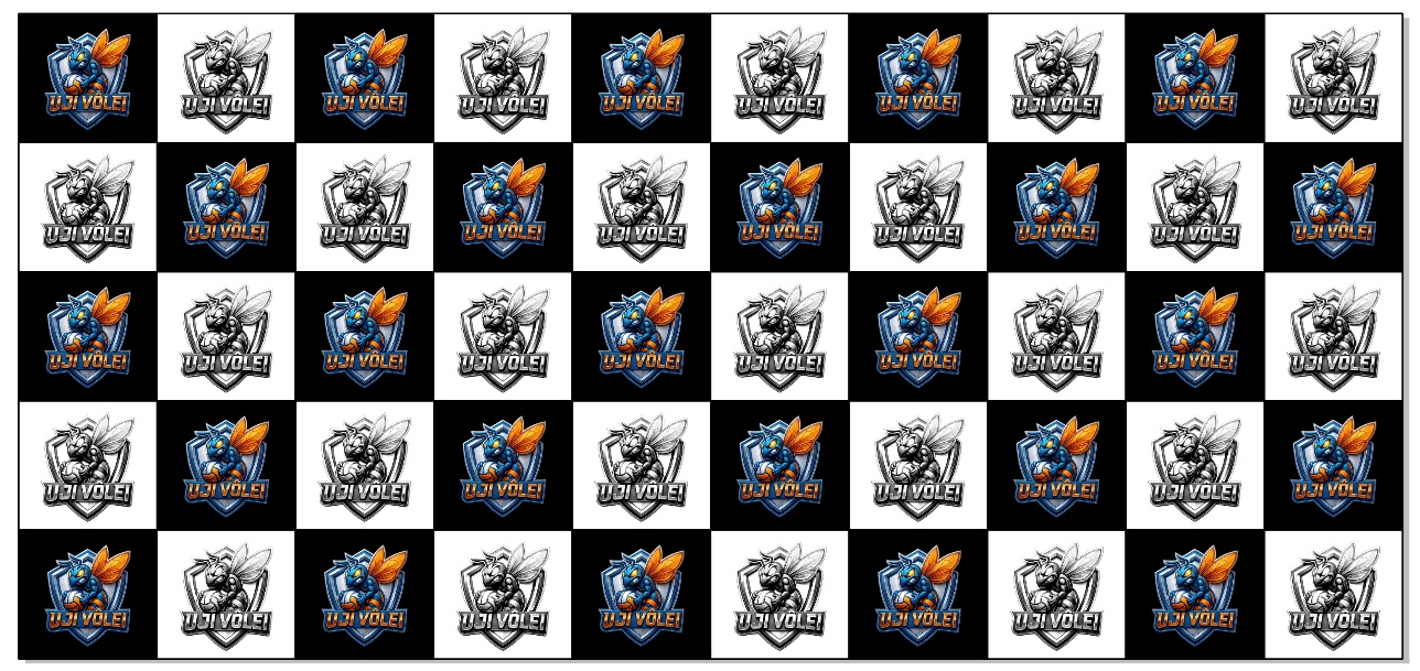 LONA BACKDROP